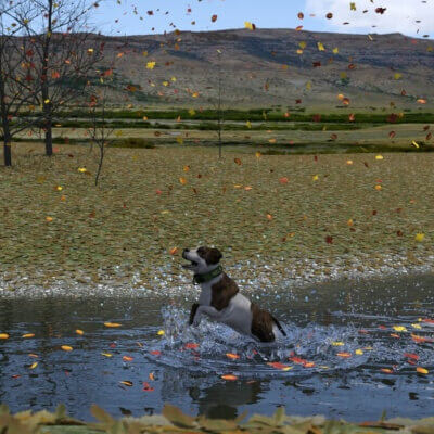 Chasing the Fall Leaves.