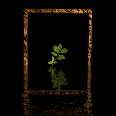 Alone and Framed