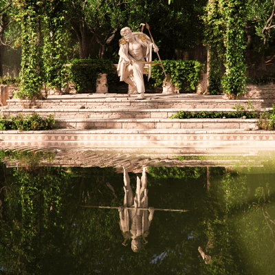 Warriors Reflection