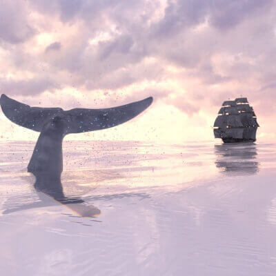 Chasing the White Whale.