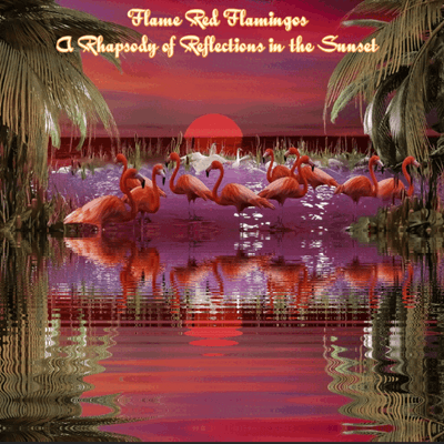 Flame Red Flamingos- A Rhapsody of Reflections in the Sunset