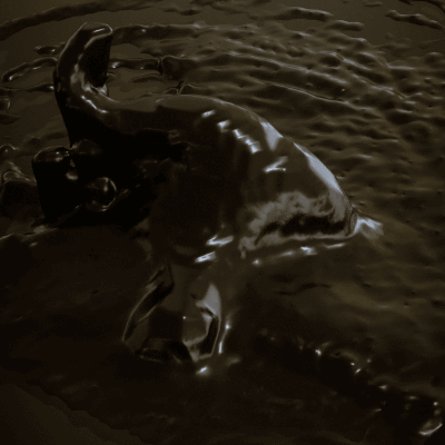 Buffalo In Mud
