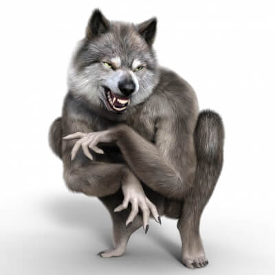 Wolfer