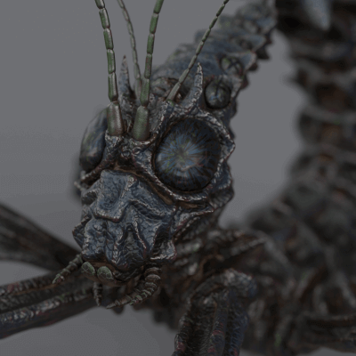 Natures Phantom Fantasy Stick Insect Evolution