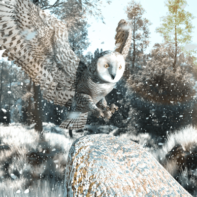 Cold perch