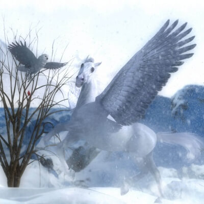 Blizzard