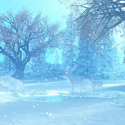 Winter Magic