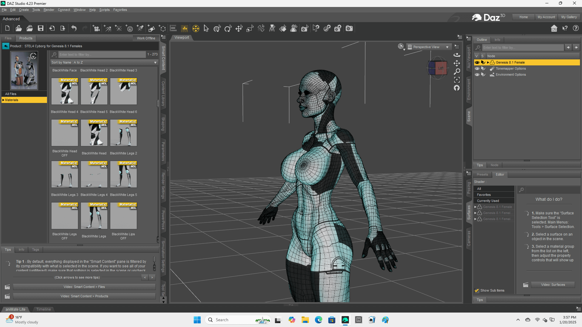 Miranda Bot (the version with the wireframes) | RenderHub Forum