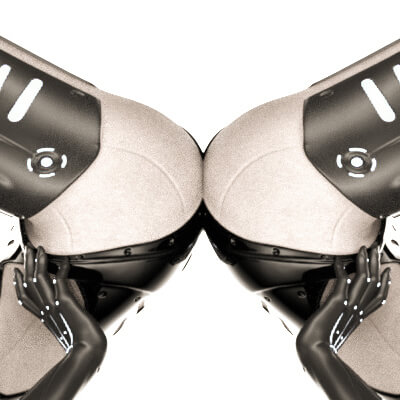 Twin Sexy Robots