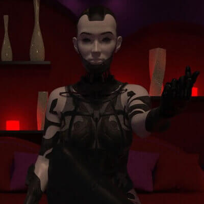 The Robot Dominatrix