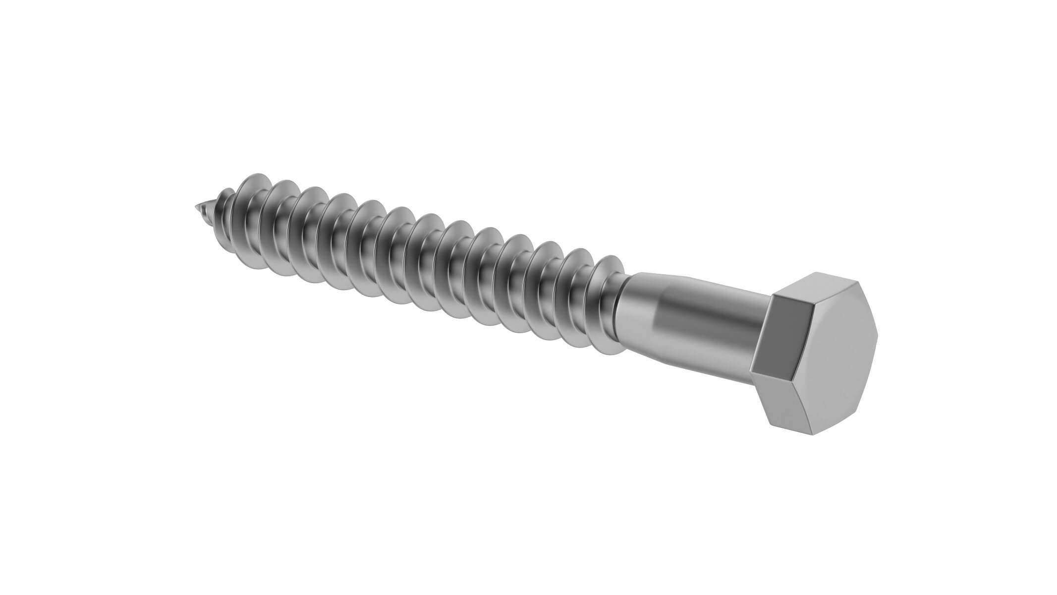 Lag Bolt 3D Model by frezzy