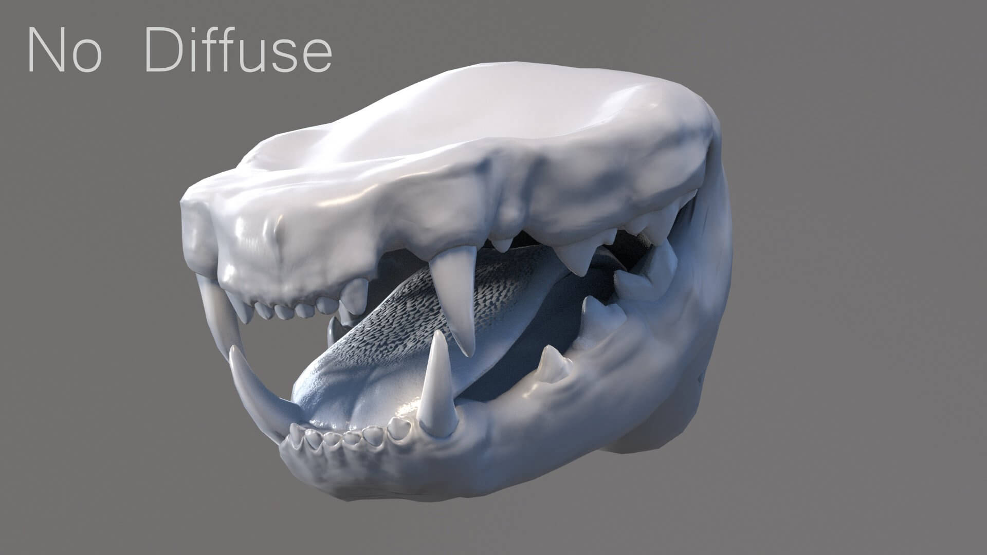 Cat Mouth 3D Model