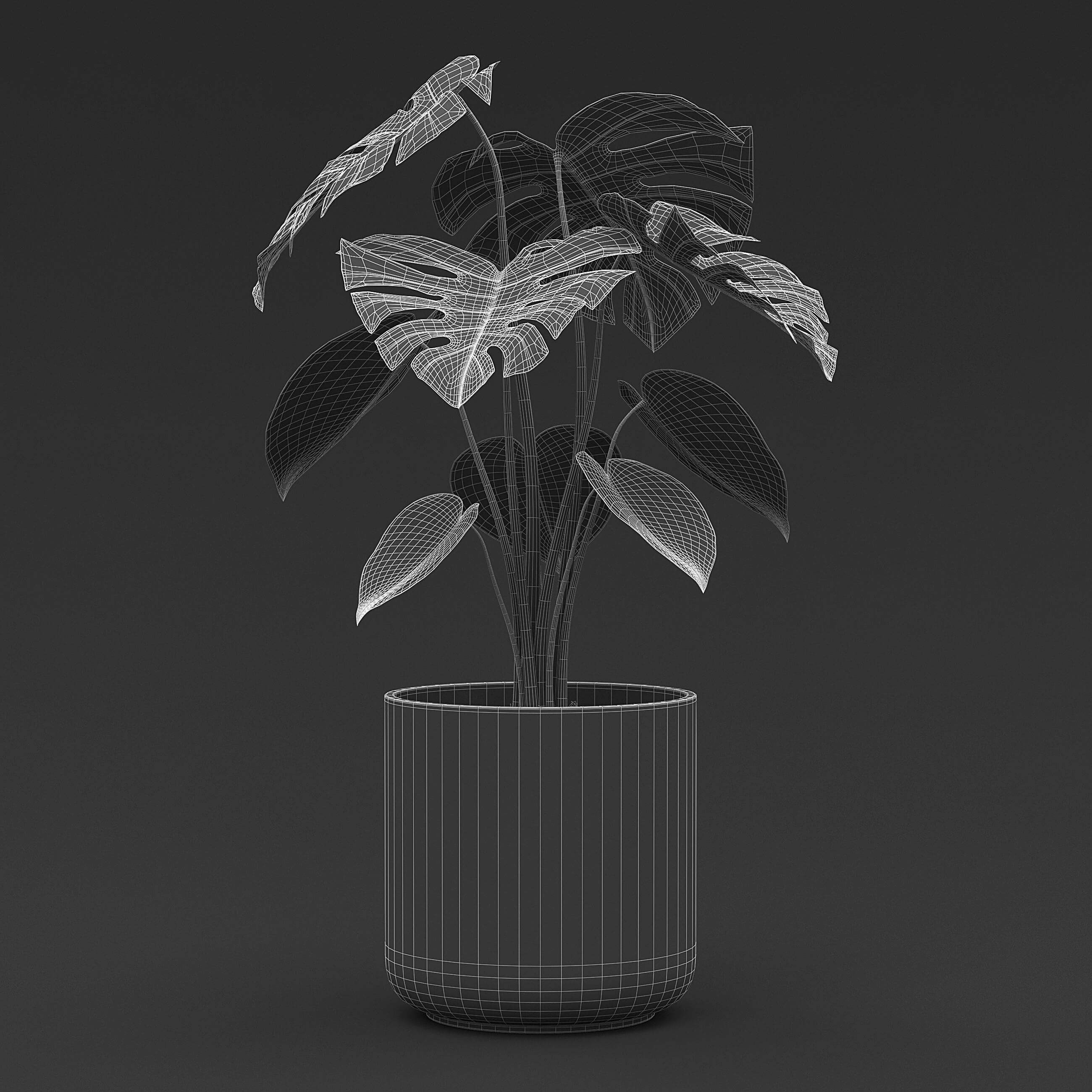 Cheese Plant II 3D Model by fusemesh