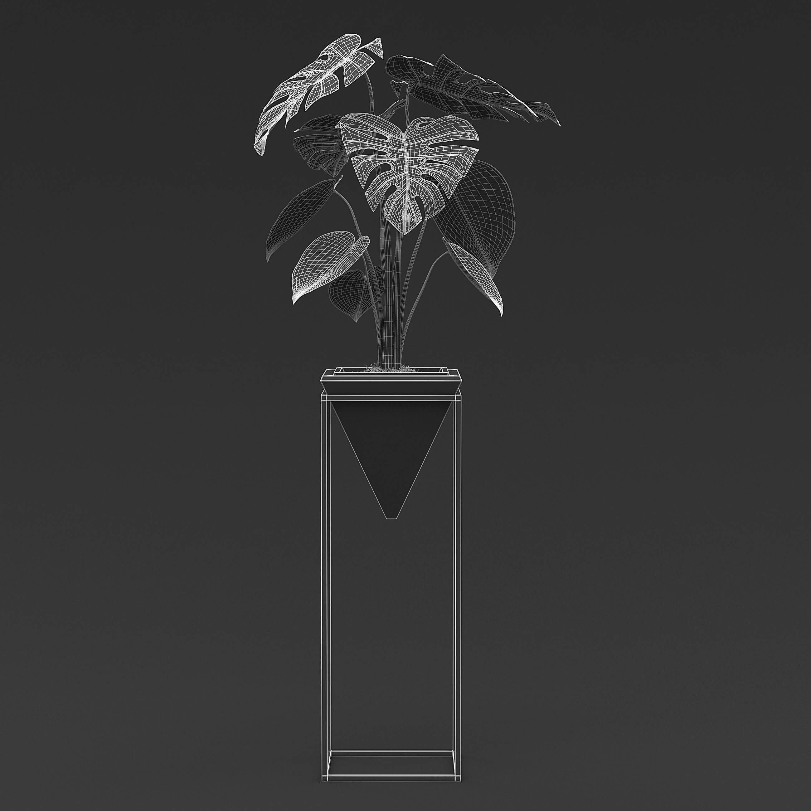 Cheese Plant III 3D Model by fusemesh