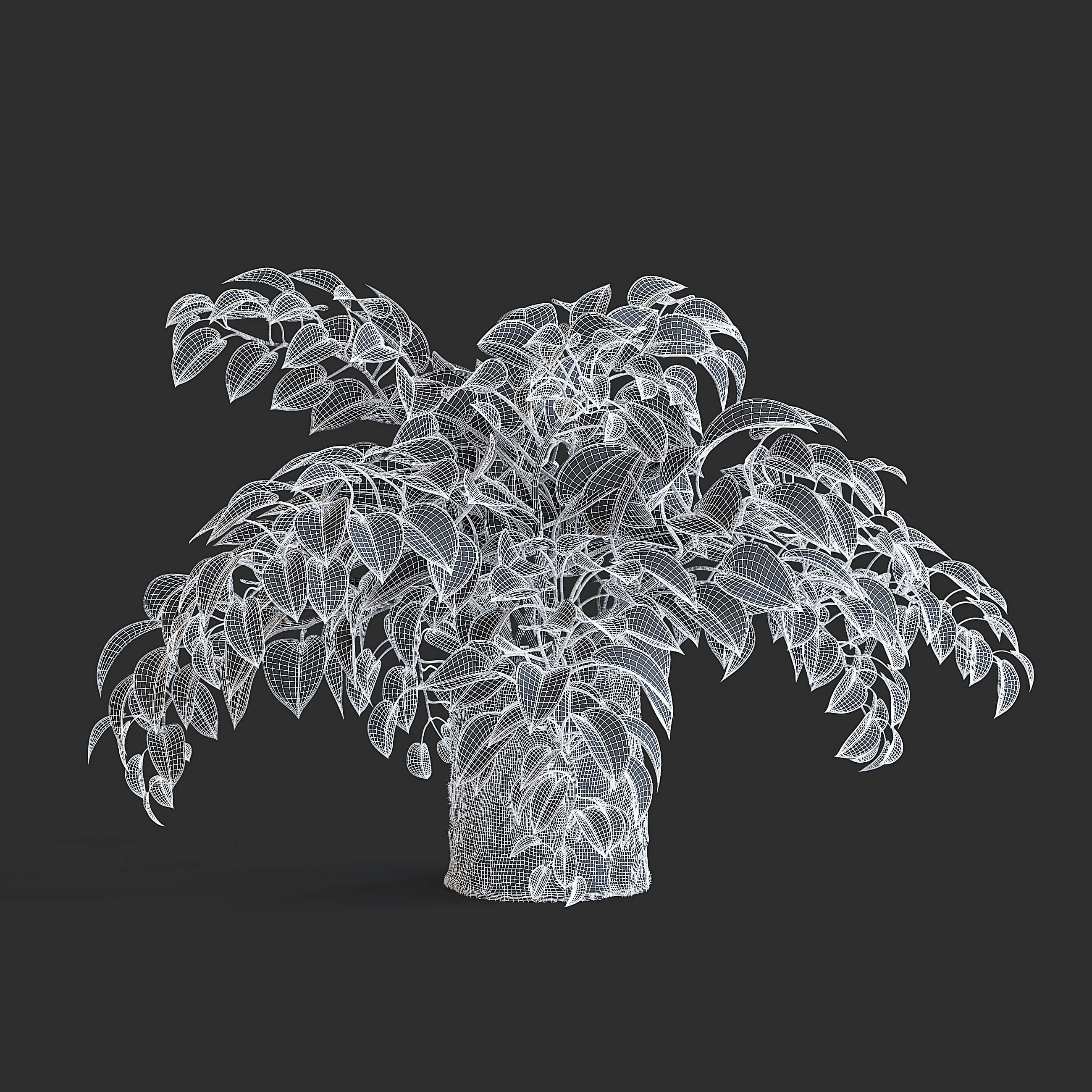 Pothos Plant - 3D Model by fusemesh