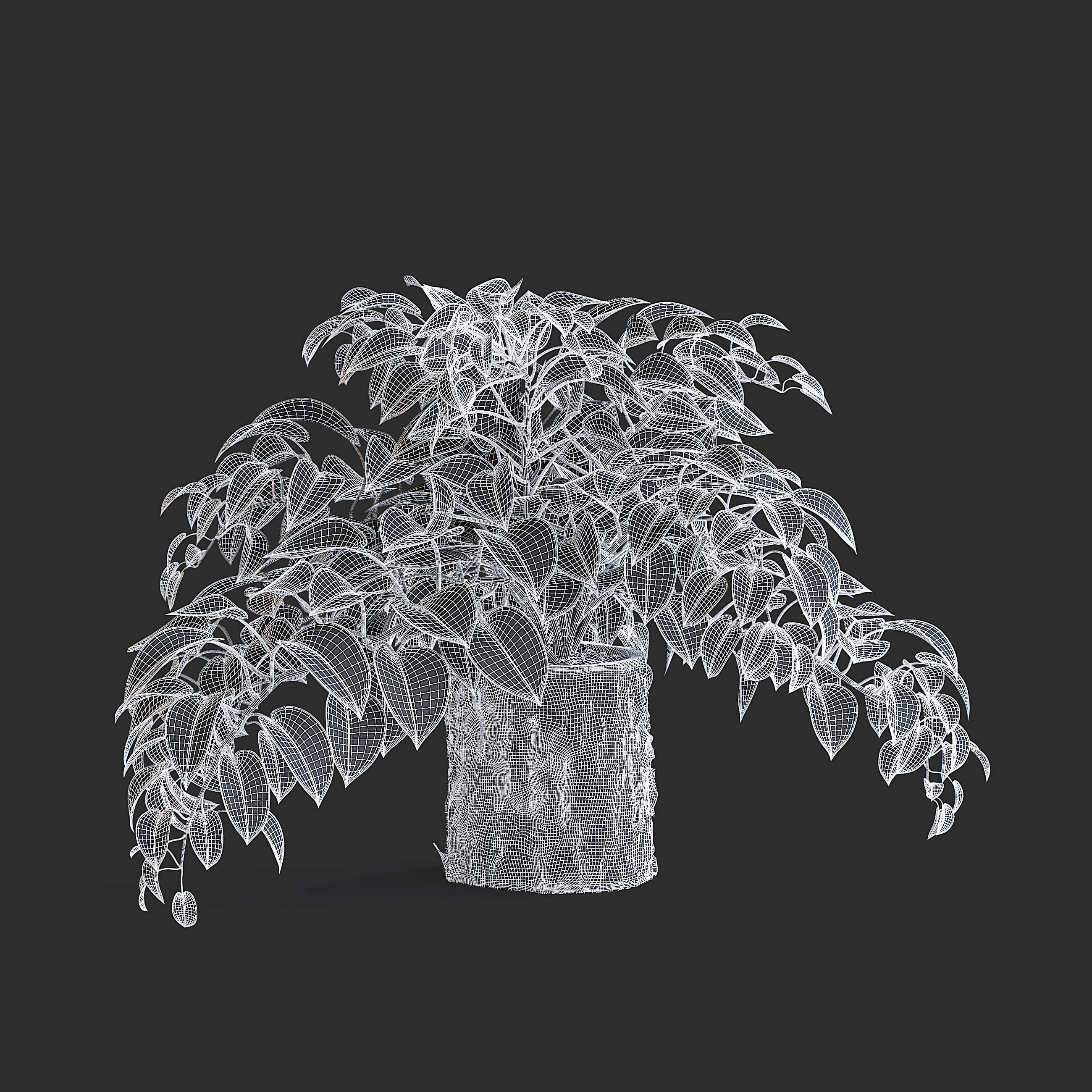 Pothos Plant - 3D Model by fusemesh