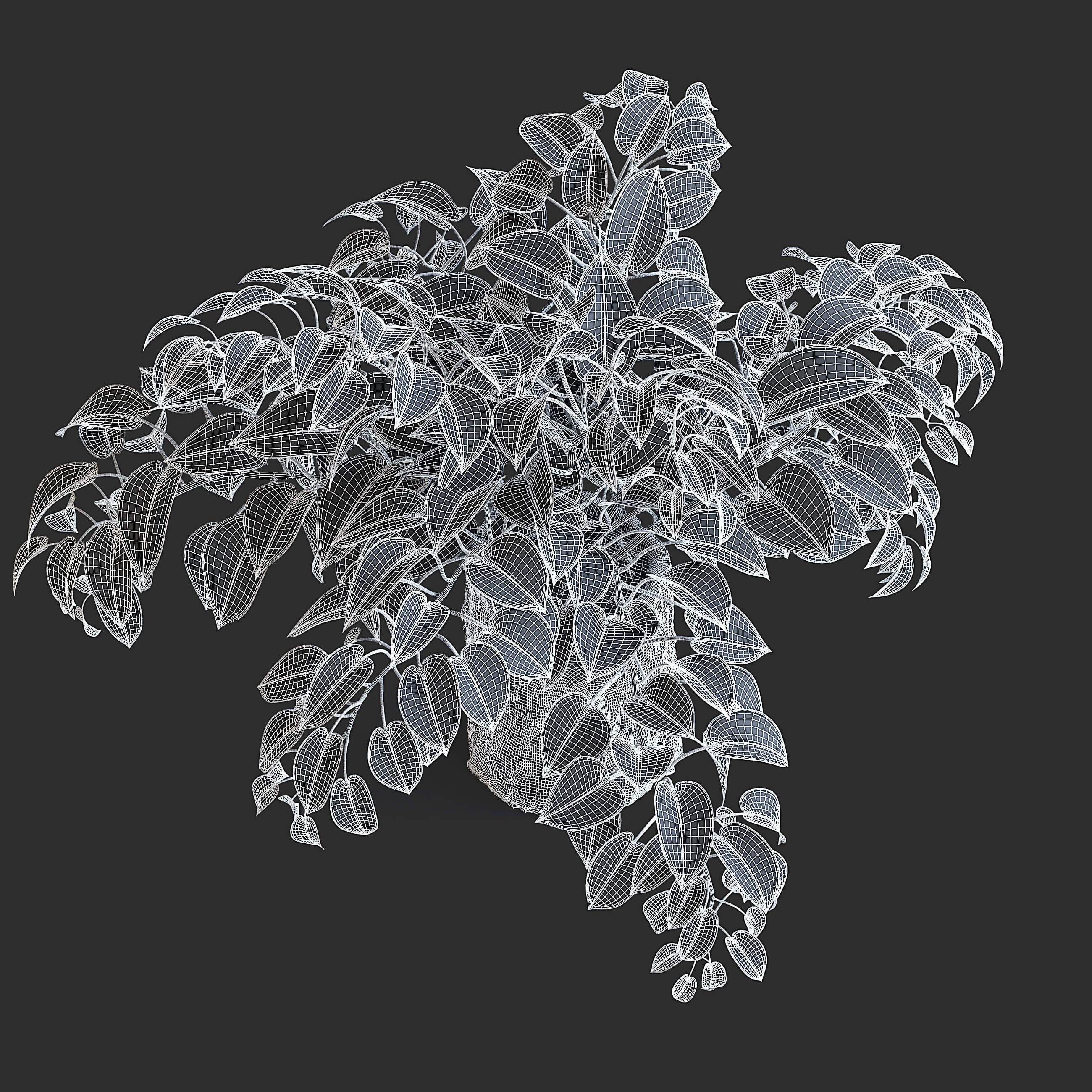 Pothos Plant - 3D Model by fusemesh