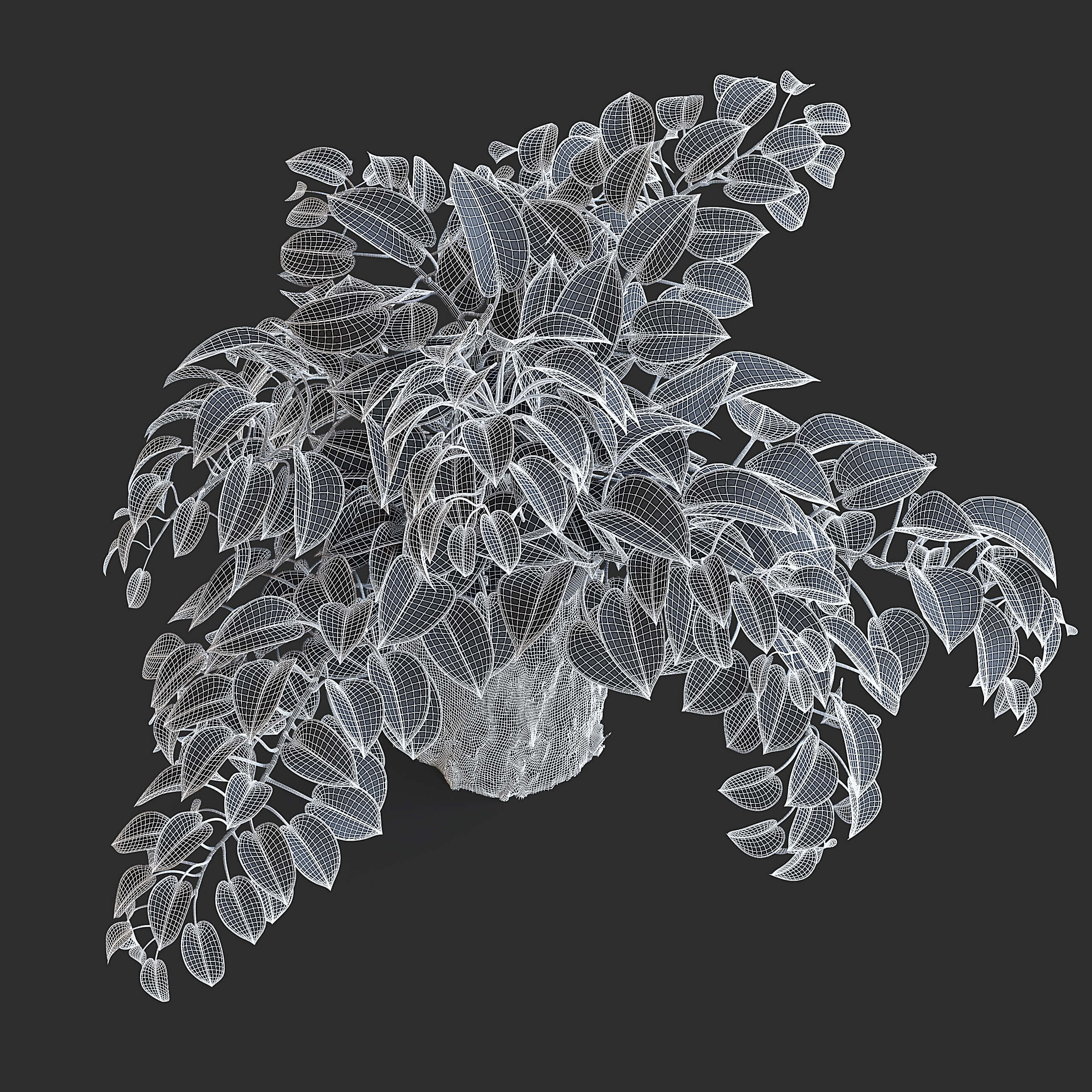 Pothos Plant - 3D Model by fusemesh