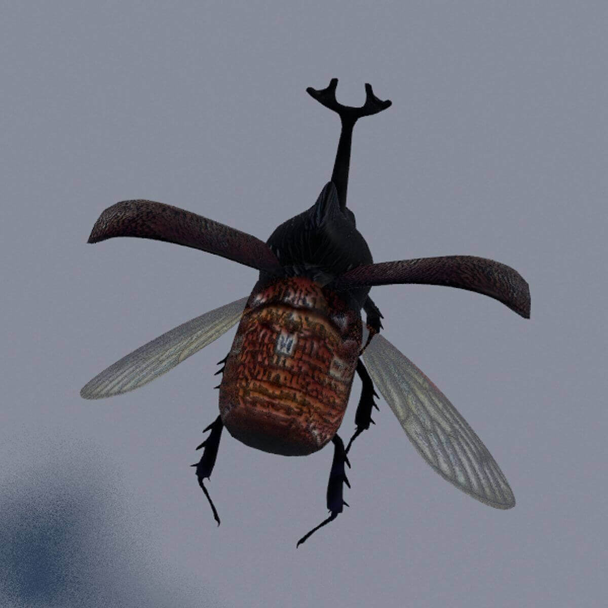 Insects Pack - 3D Model by GabrielCasamasso