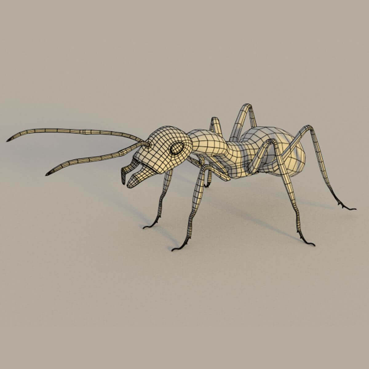 Insects Pack - 3D Model by GabrielCasamasso