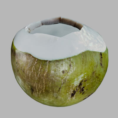 Realistic Green Tropical Coconut