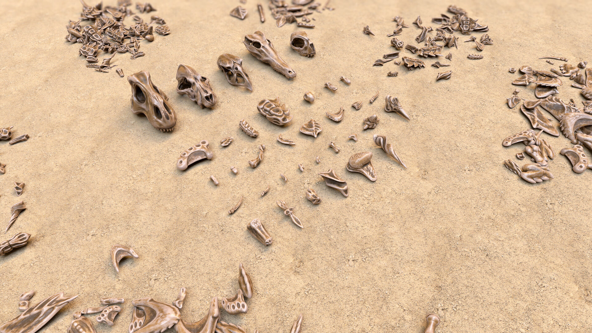 Fossil Bones and Skulls Collection 3D Model by GameReady Studios