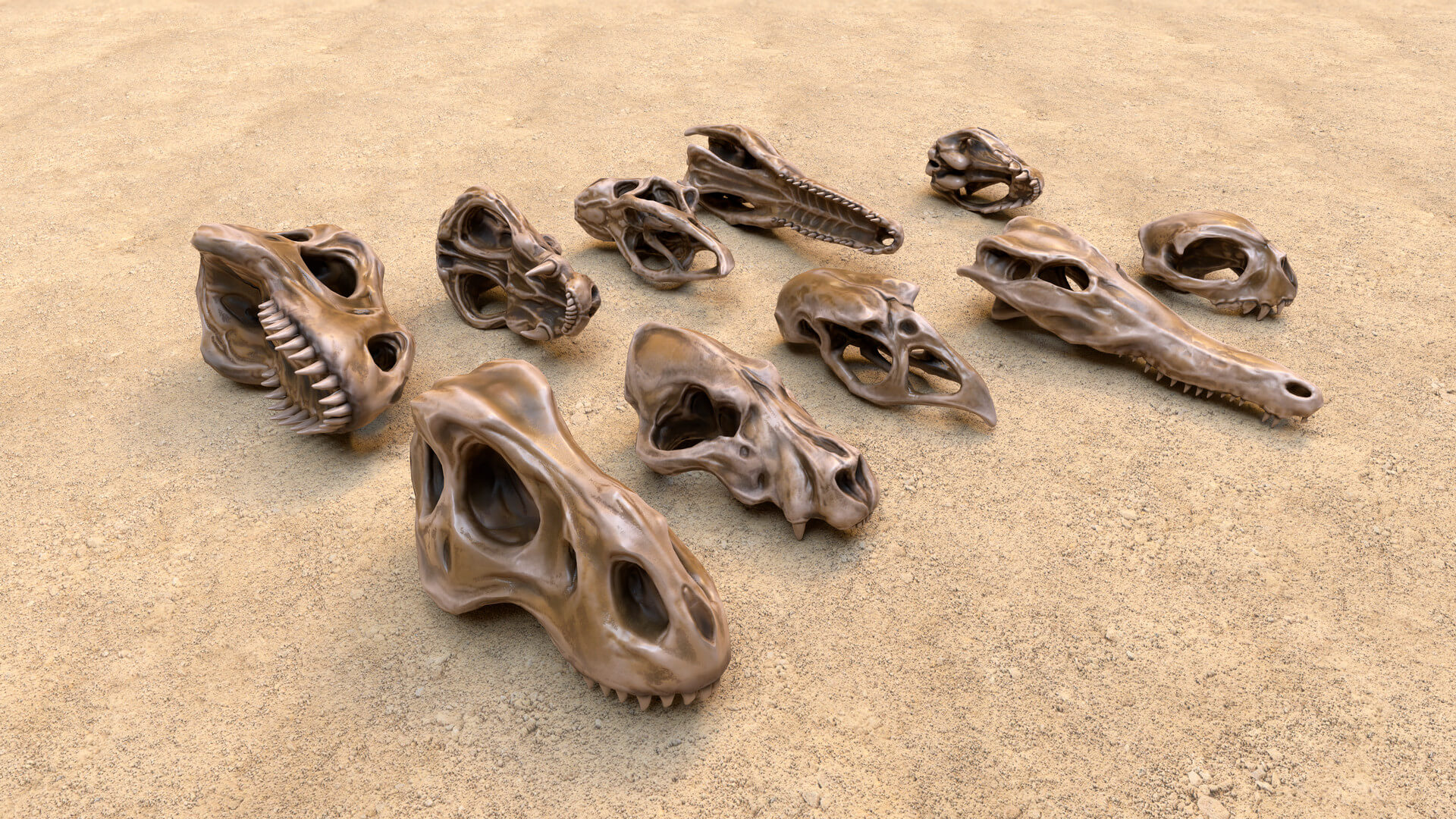 Fossil Bones and Skulls Collection 3D Model by GameReady Studios
