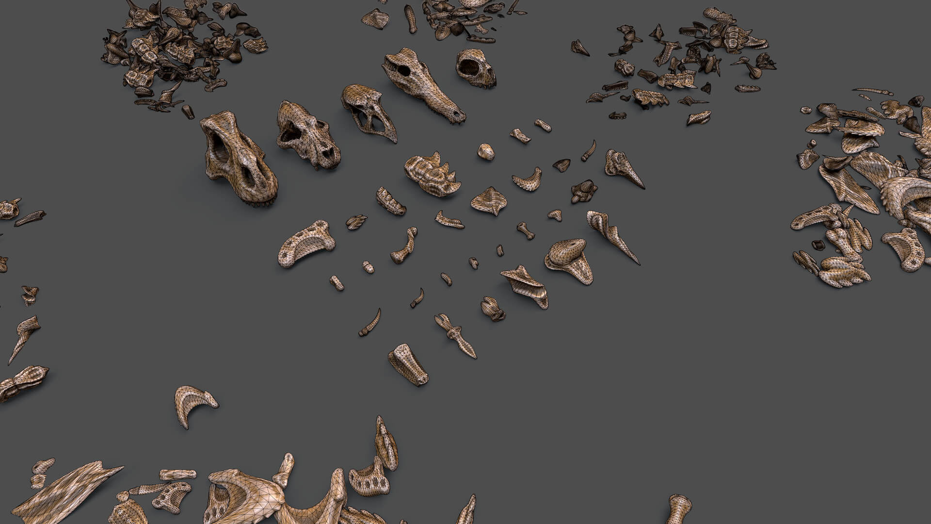 Fossil Bones and Skulls Collection 3D Model by GameReady Studios