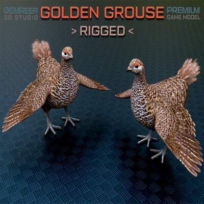 Grouse Rigged Ornate Forest Bird