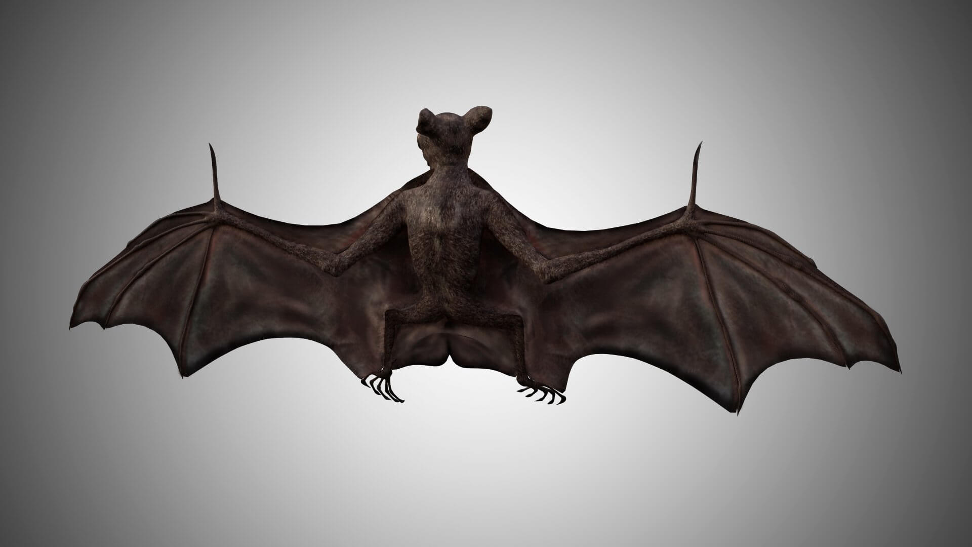 Bat 3D Model by