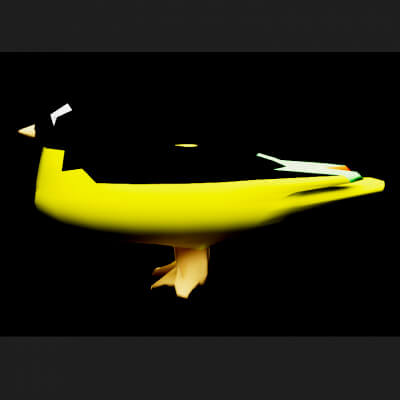 Bird Green and Black and Yellow and Orange