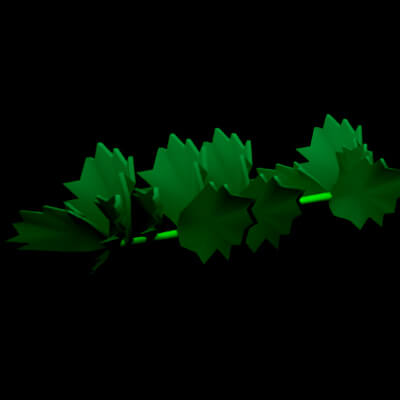 Hydrangea Flower Branch