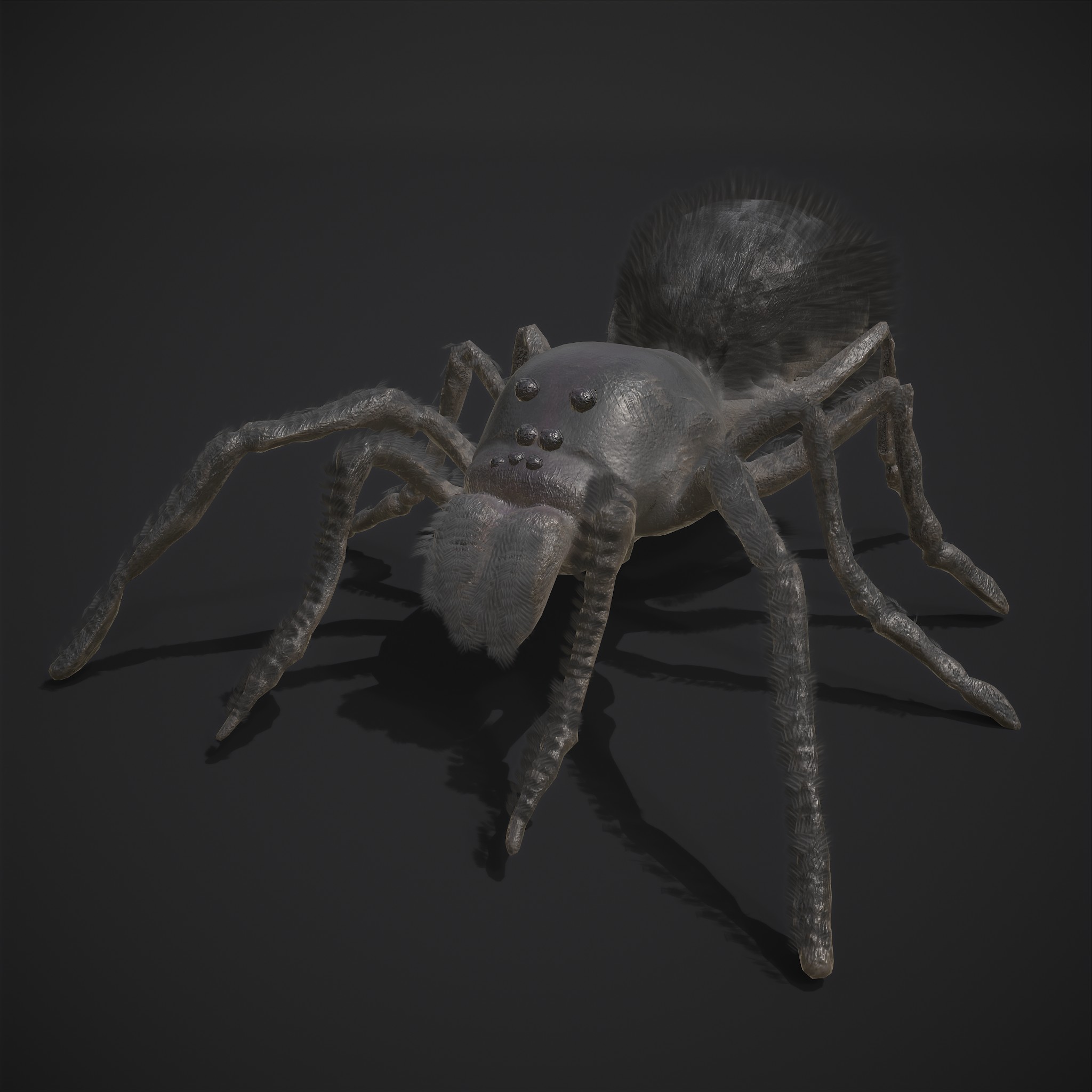 Black Spider - 3D Model by Get Dead Entertainment