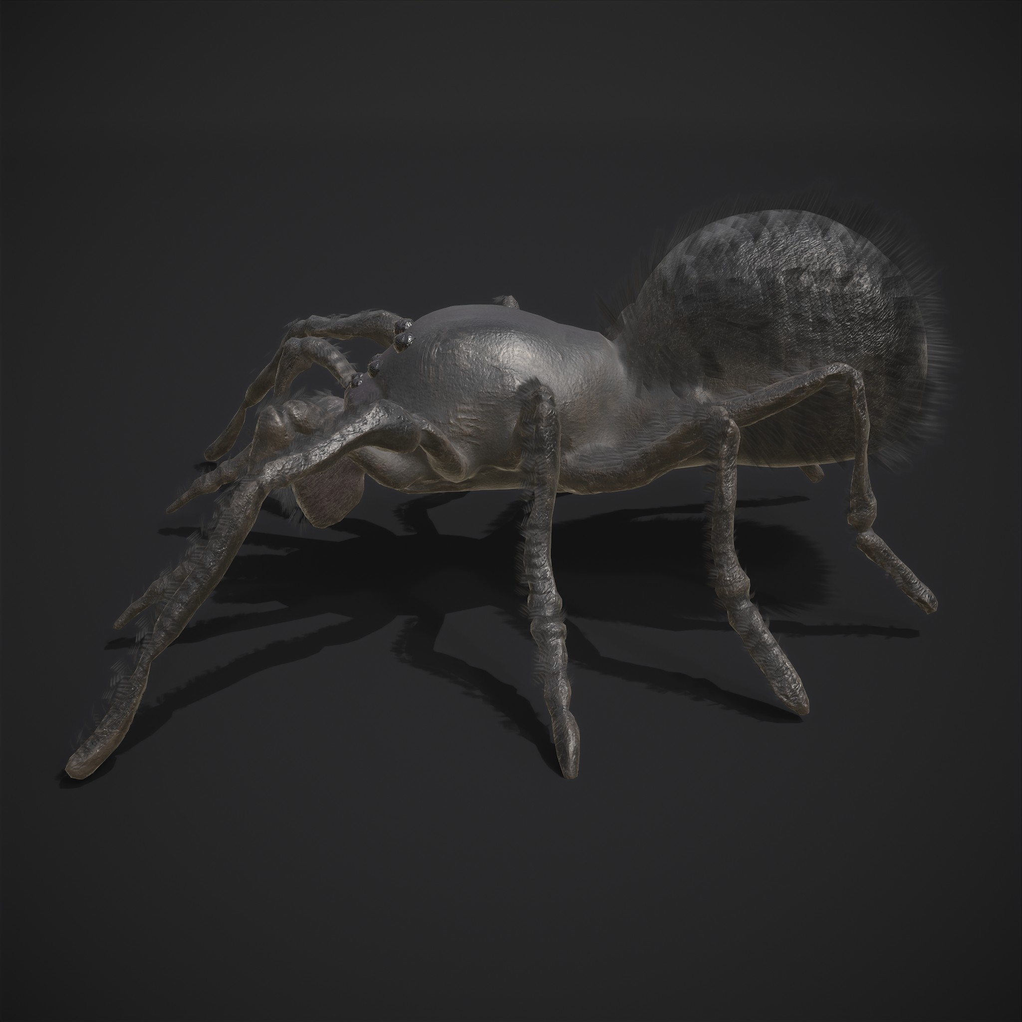 Black Spider - 3D Model by Get Dead Entertainment