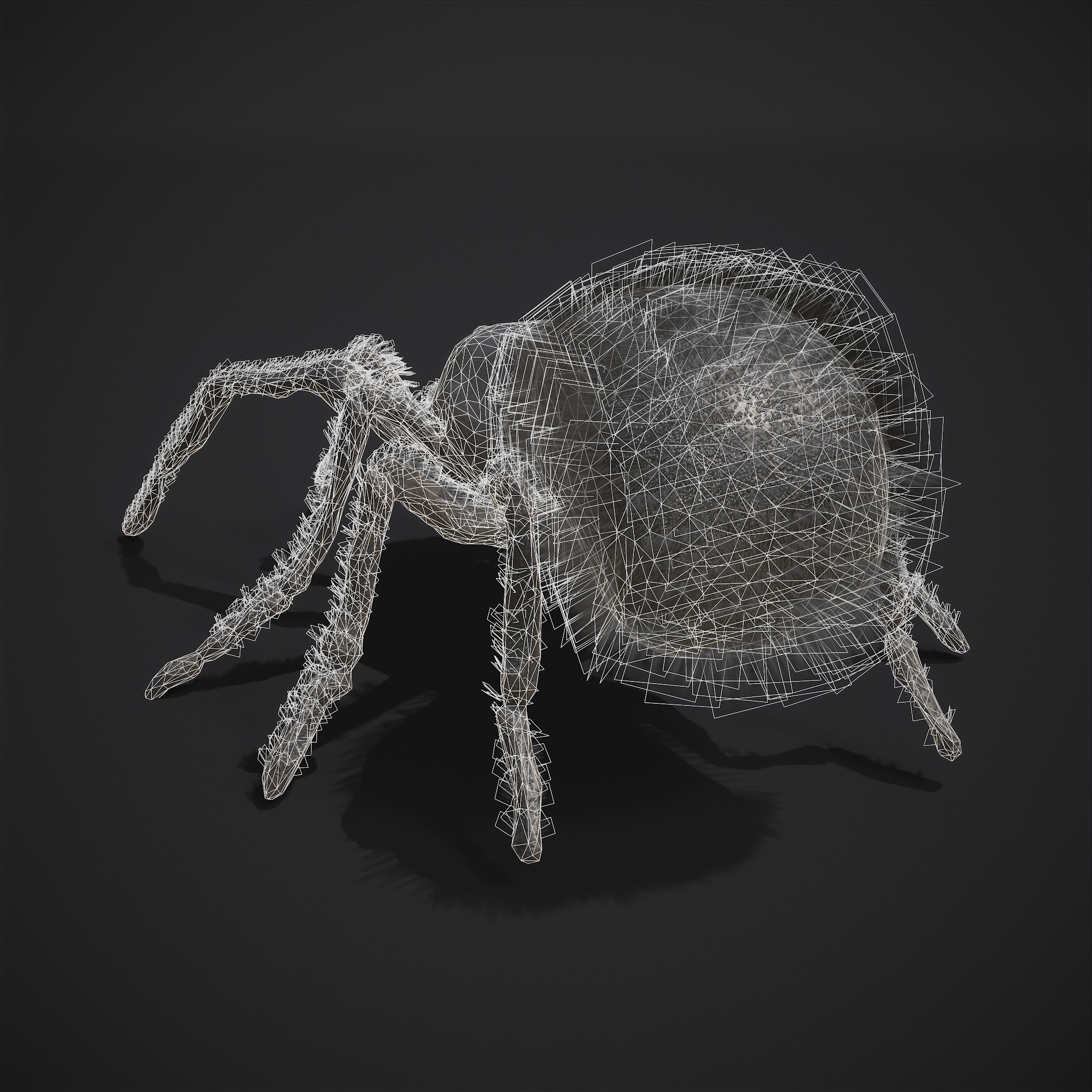 Black Spider - 3D Model by Get Dead Entertainment