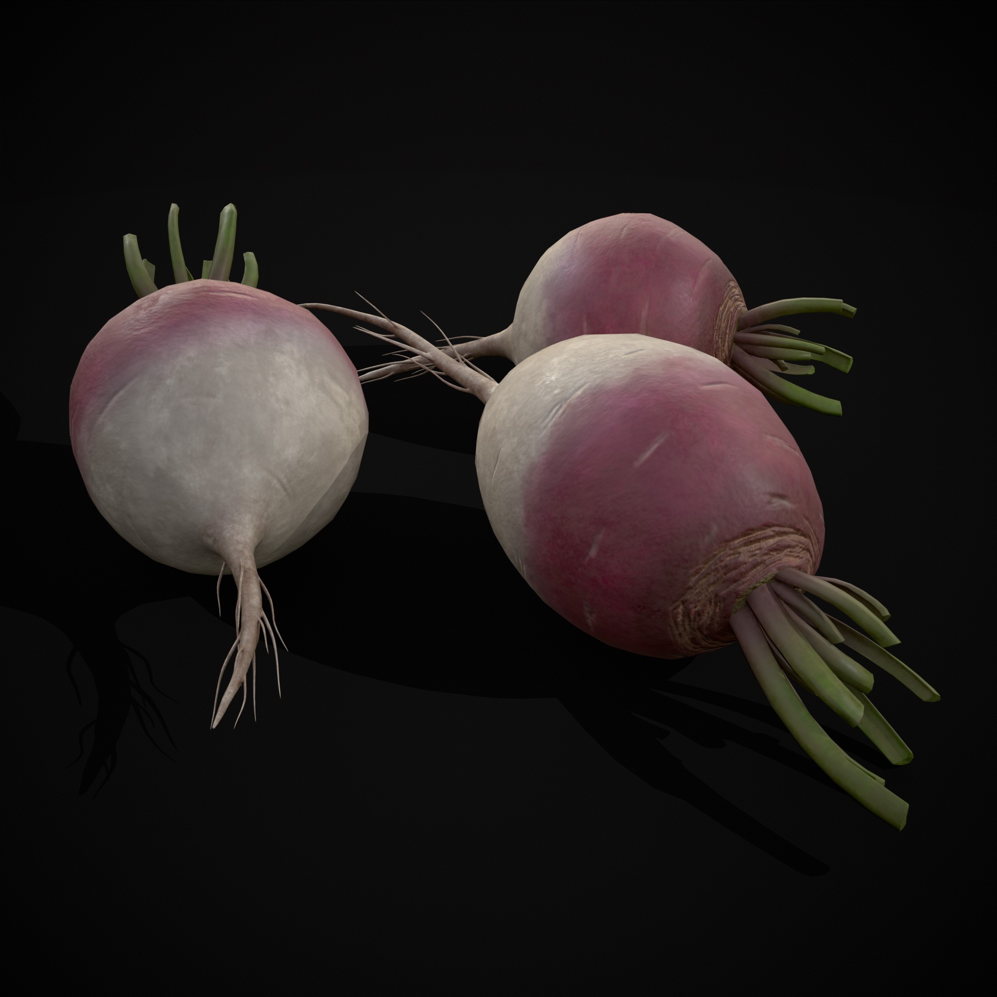 Purple Top White Globe Turnips 3D Model by Get Dead Entertainment