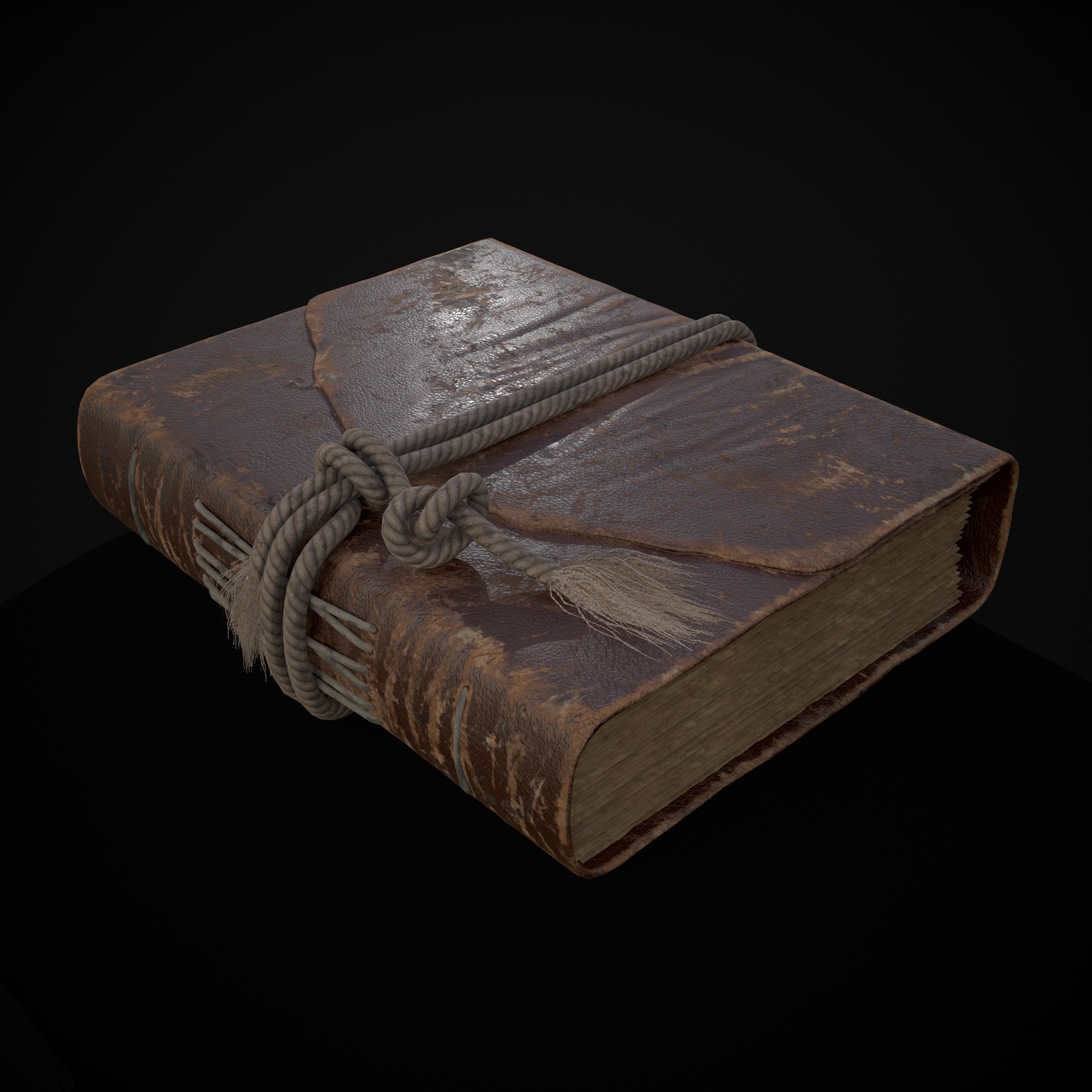 Rope Tied Leather Bound Book - 3D Model by Get Dead Entertainment