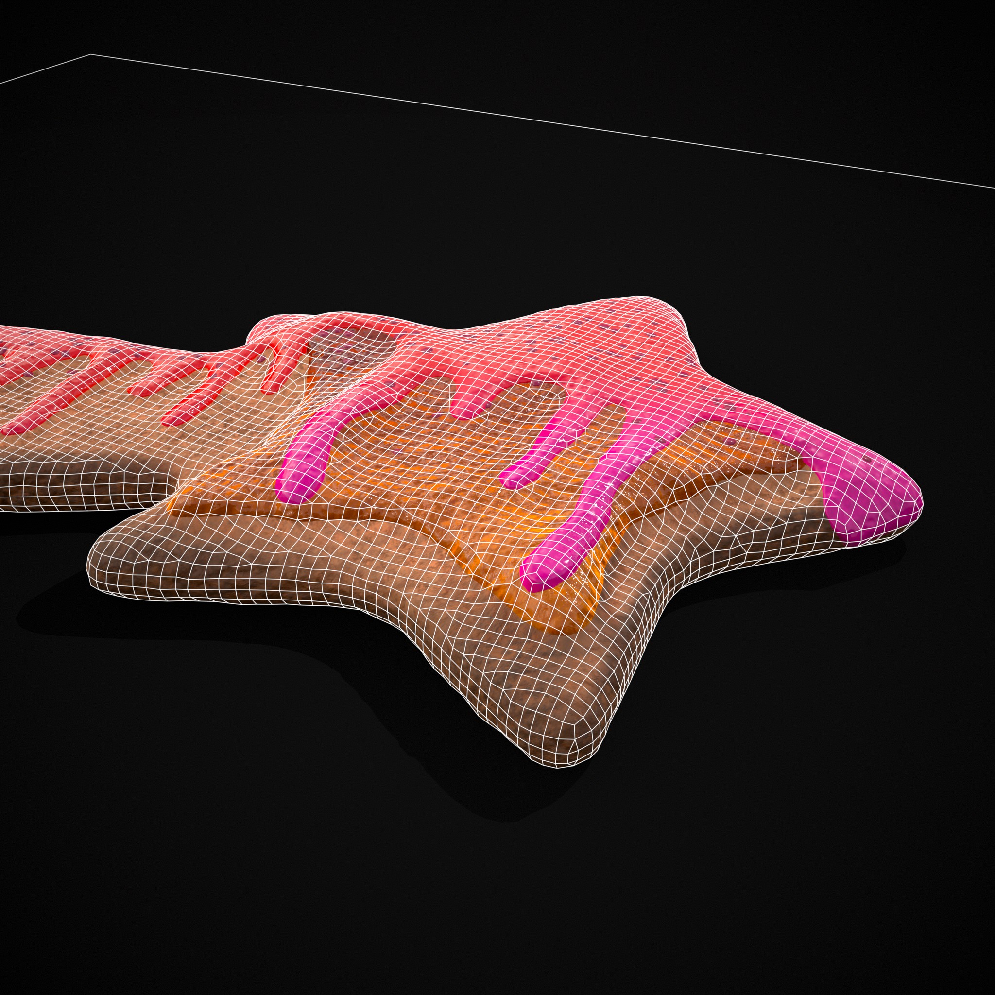 Shooting Star Icing Jelly Cookie - 3D Model by Get Dead Entertainment