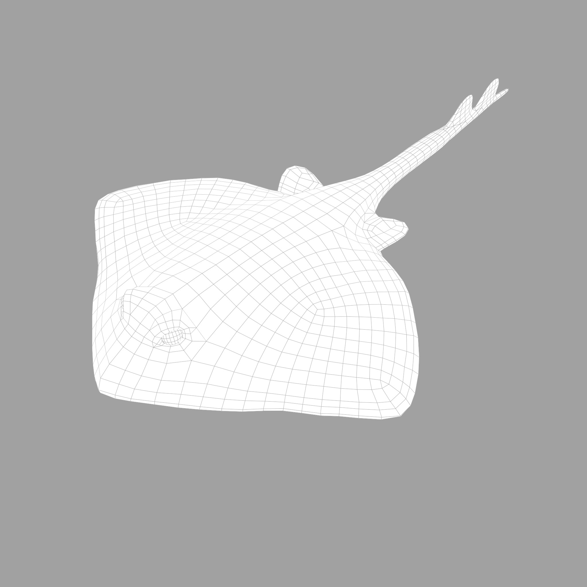 Skate Fish 3D Model by Get Dead Entertainment