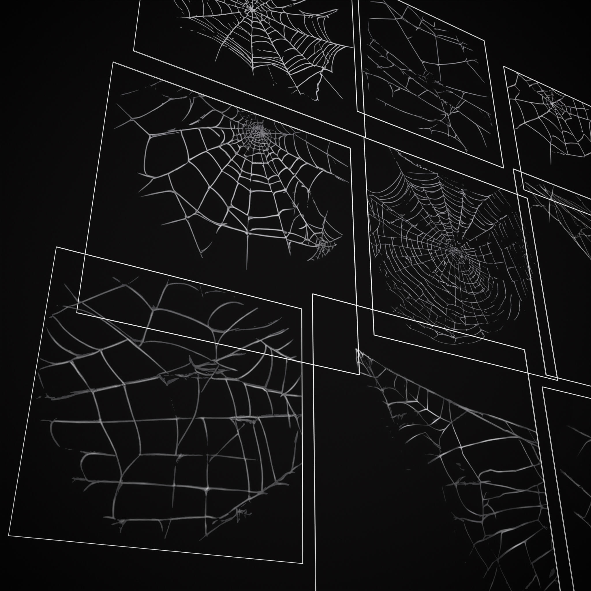 Spider Webs Pack Two - 3D Model by Get Dead Entertainment