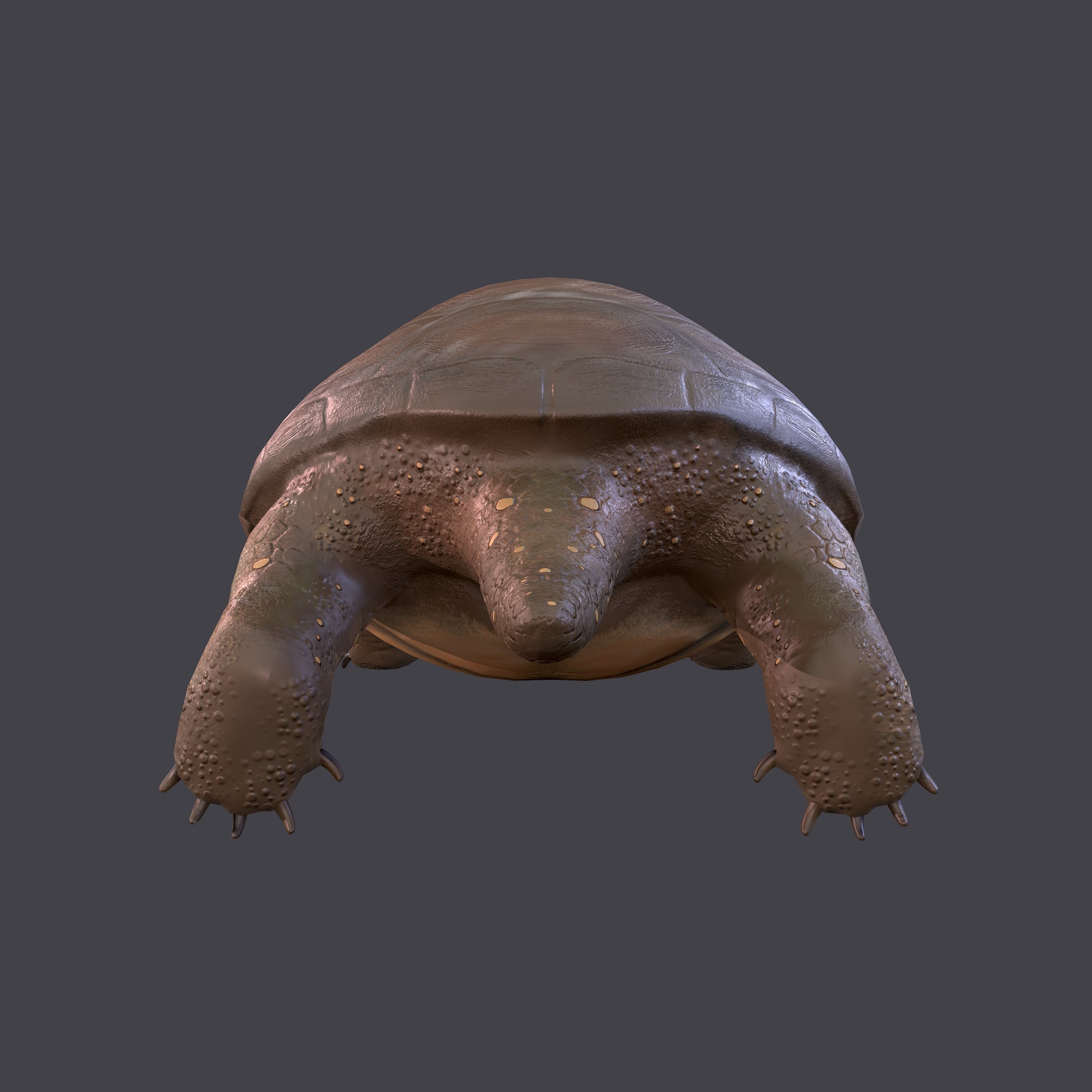 Turtle Brown Reptile - Free 3D Model by Get Dead Entertainment