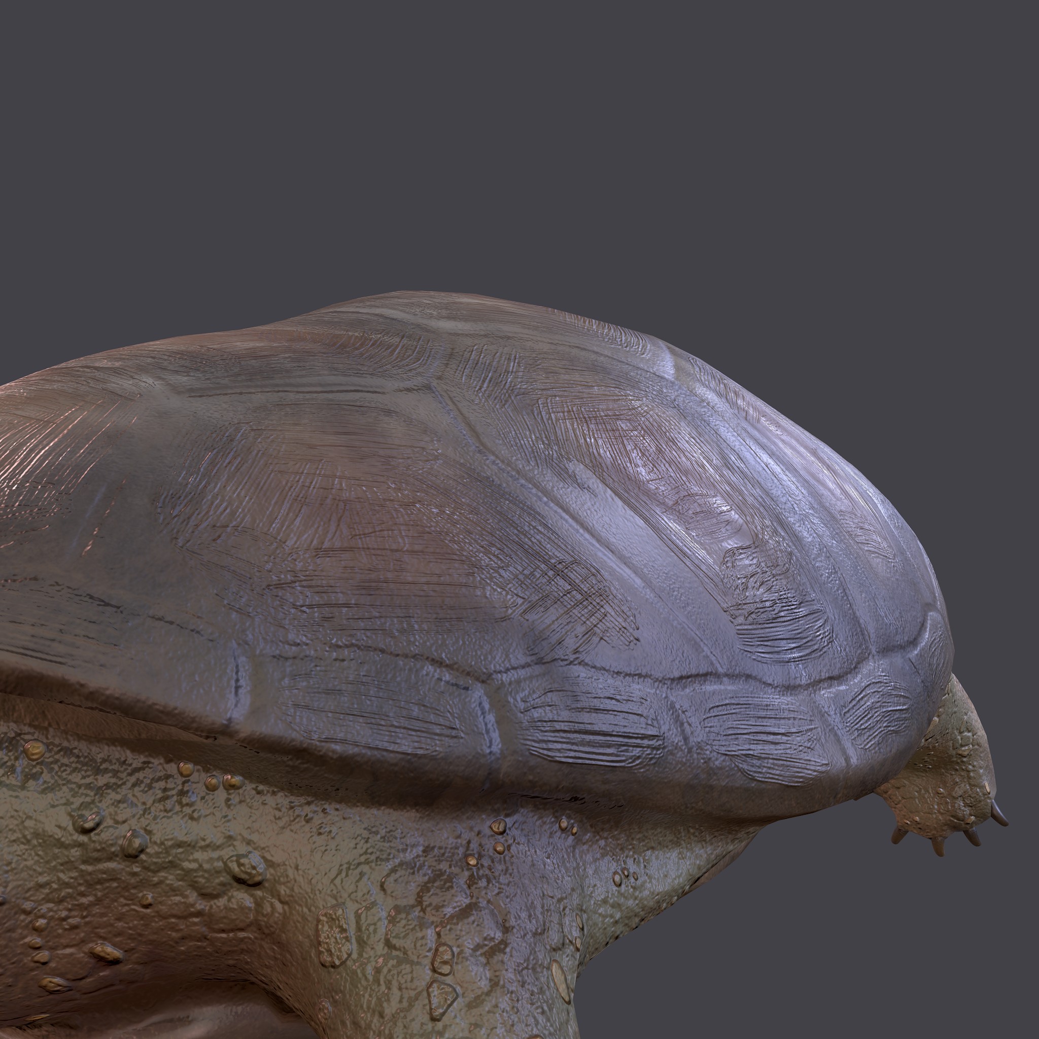 Turtle Brown Reptile - Free 3D Model by Get Dead Entertainment