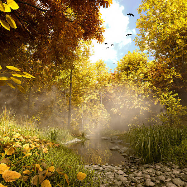 3D Render Gallery by GMArtworks at RenderHub