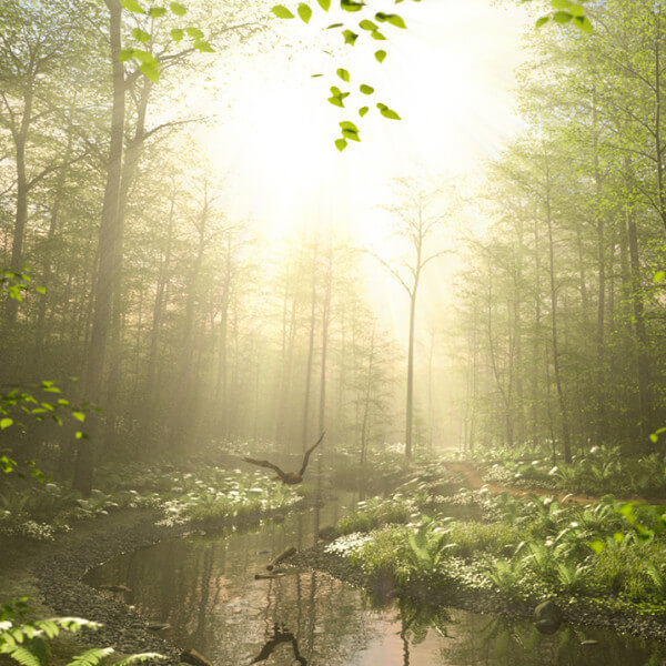 ON1 Effects Gallery | Submit Your 3D Renders at RenderHub