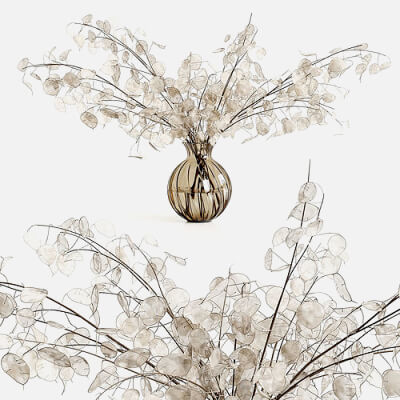 A Bouquet of Lunaria by GOLD MASTER