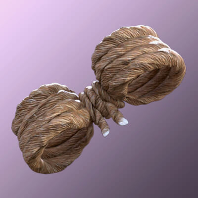 GJ3D Ropes for Genesis 8 Female