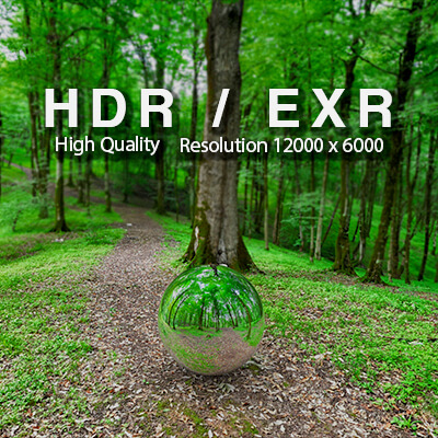 Tilakena Forest HDRI - 360
