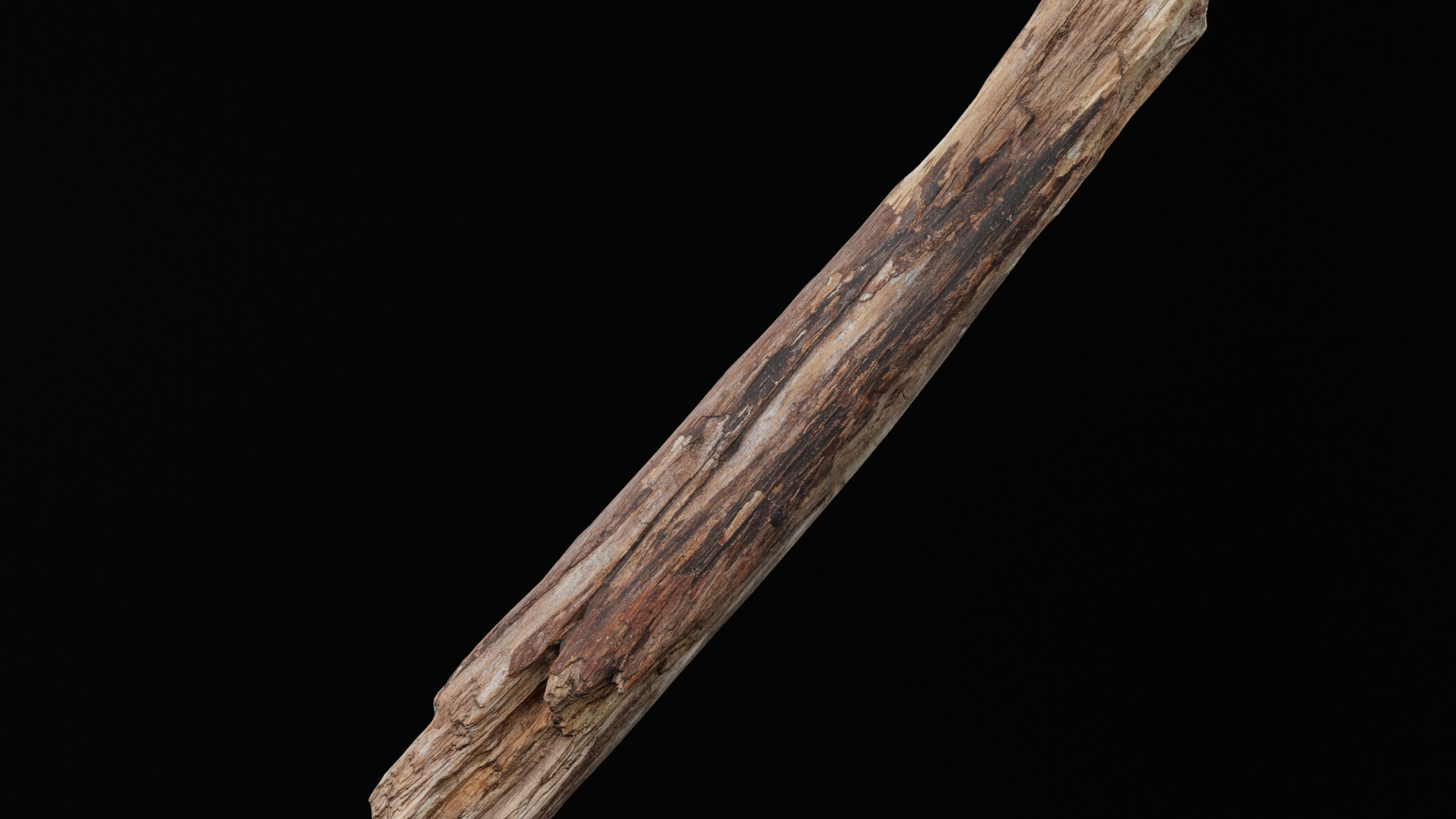 Realistic Tree Branch - 3D Model by Green Lander