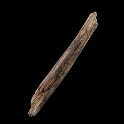 Realistic Tree Branch - 3D Model by Green Lander