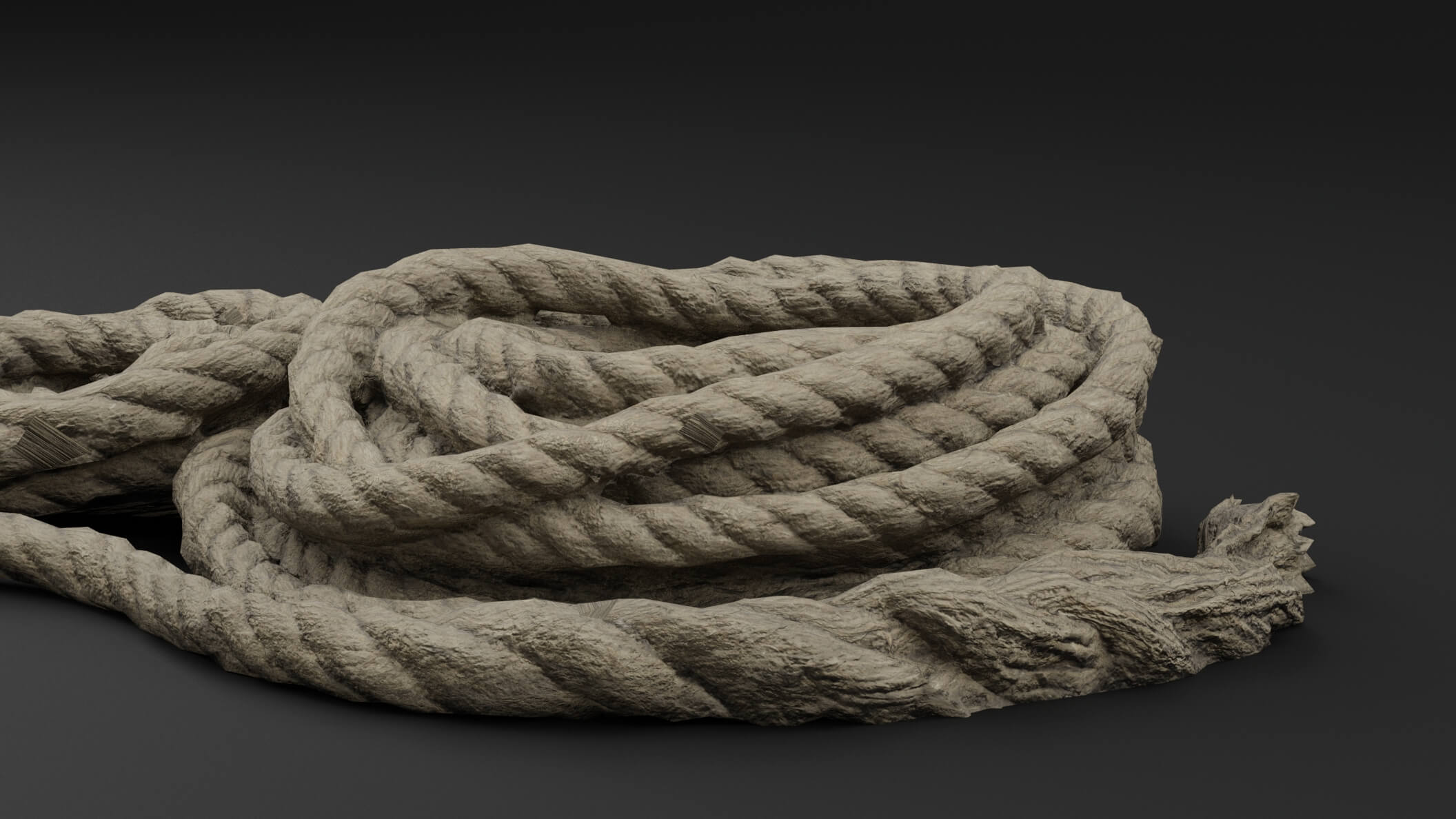 Ropes Coiled - 3D Model by Green Lander